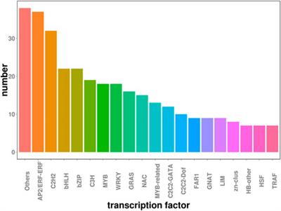 Full-length transcriptome of in Medicago sativa L. roots in response to drought stress